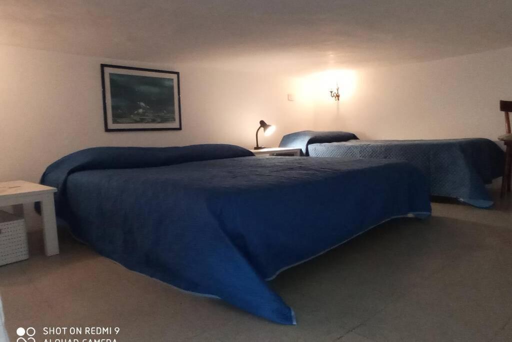 Apartment Casa Il Timone Indipendente Ponza