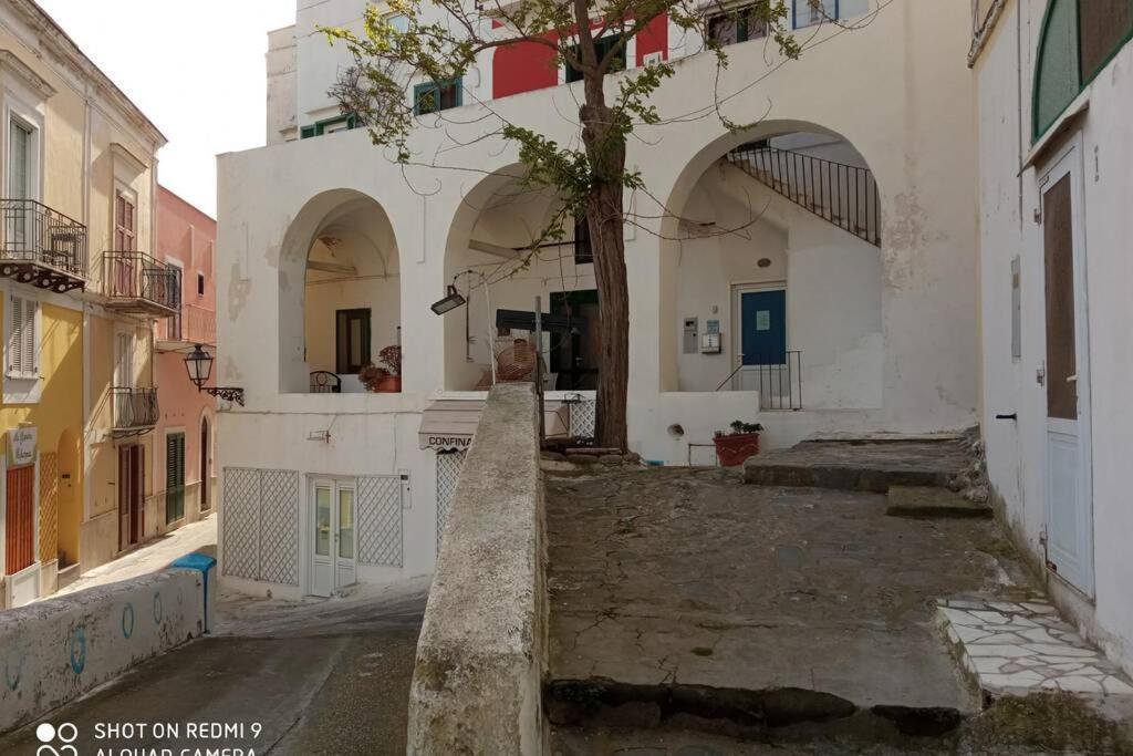 Casa Il Timone Indipendente